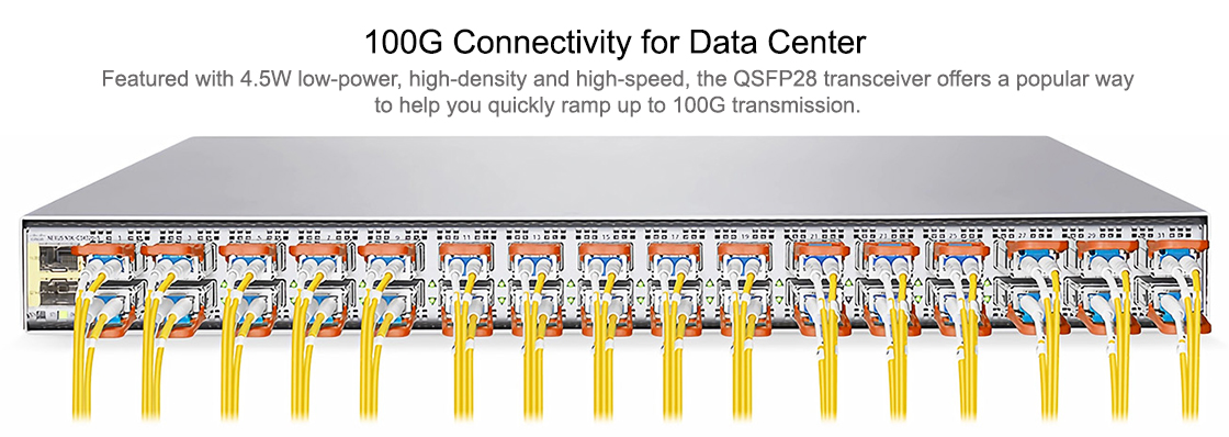 100G Connectivity for Data Center